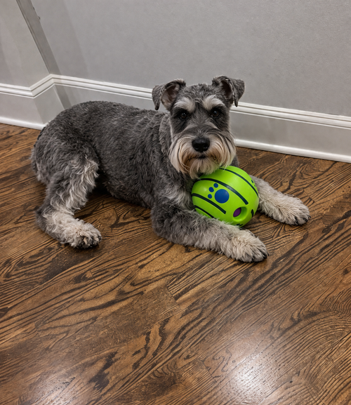 Paws&Woofs™ Dog Giggle Ball