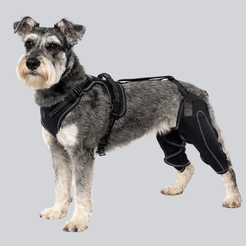 Paws&Woofs™ Dog Knee Brace