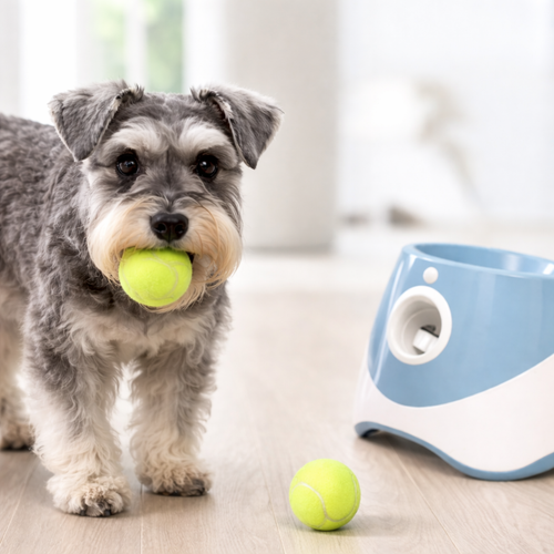 Paws&Woofs™ Automatic Dog Ball Launcher